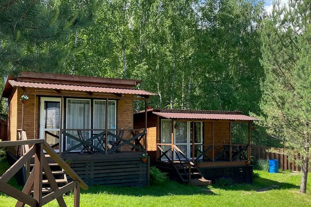 Шишкин лес, Горный Алтай (Республика Алтай): фото 3