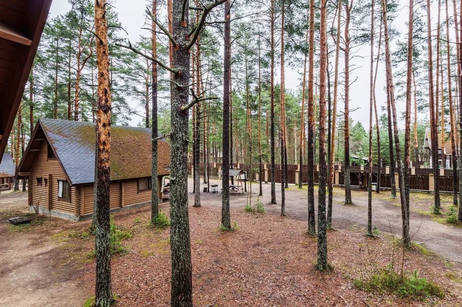 Коттедж-клуб Брусника, Ленинградская область: фото 3