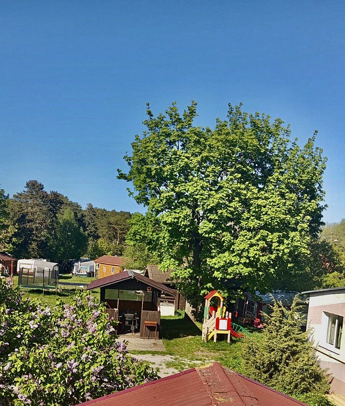 Здоровье, Калининградская область: фото 5