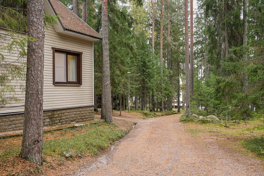 База отдыха дипломатов Боровое, Ленинградская область: фото 2