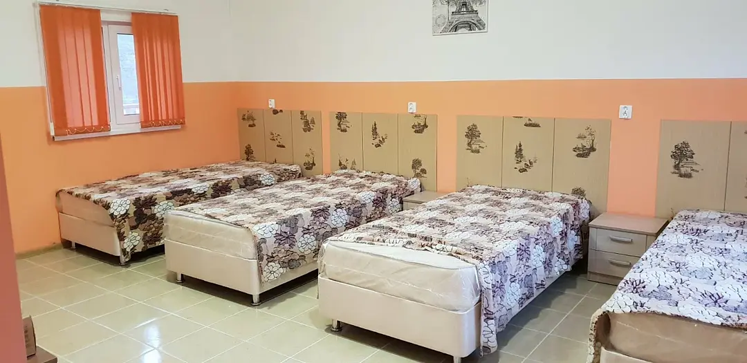 Оазис, Ленинградская область: фото 3