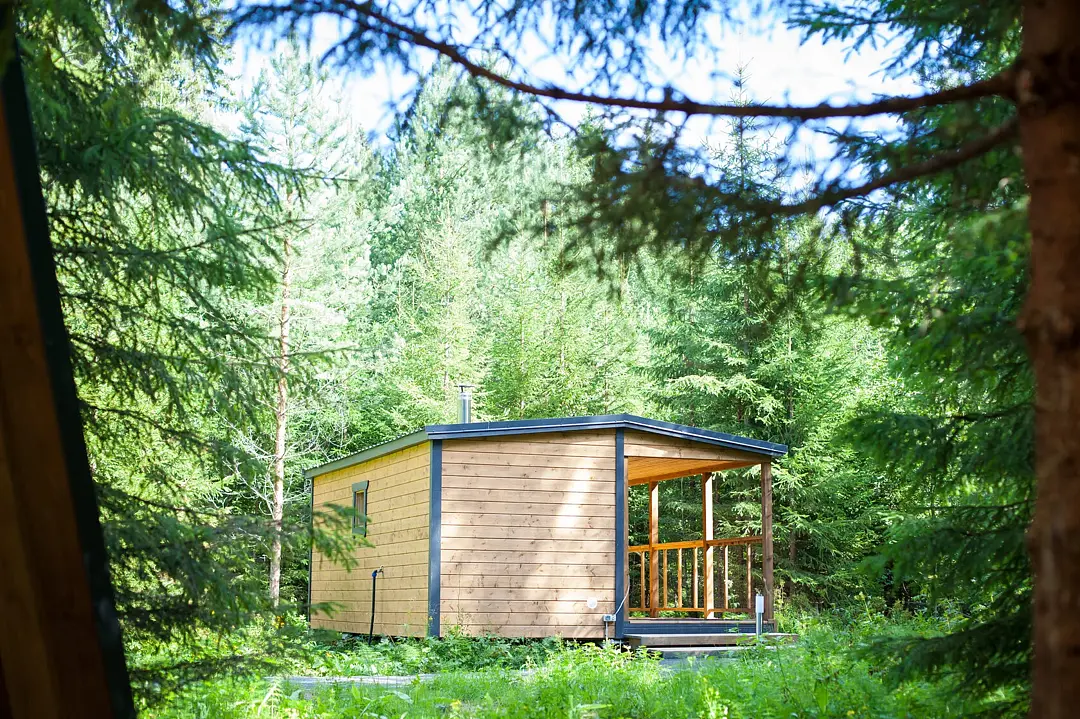 Берег Норика , Республика Карелия: фото 5