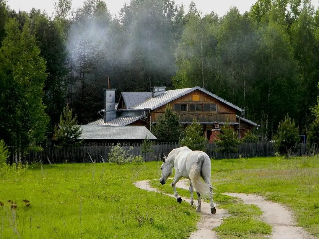 Река Чаек, Нижегородская область: фото 4