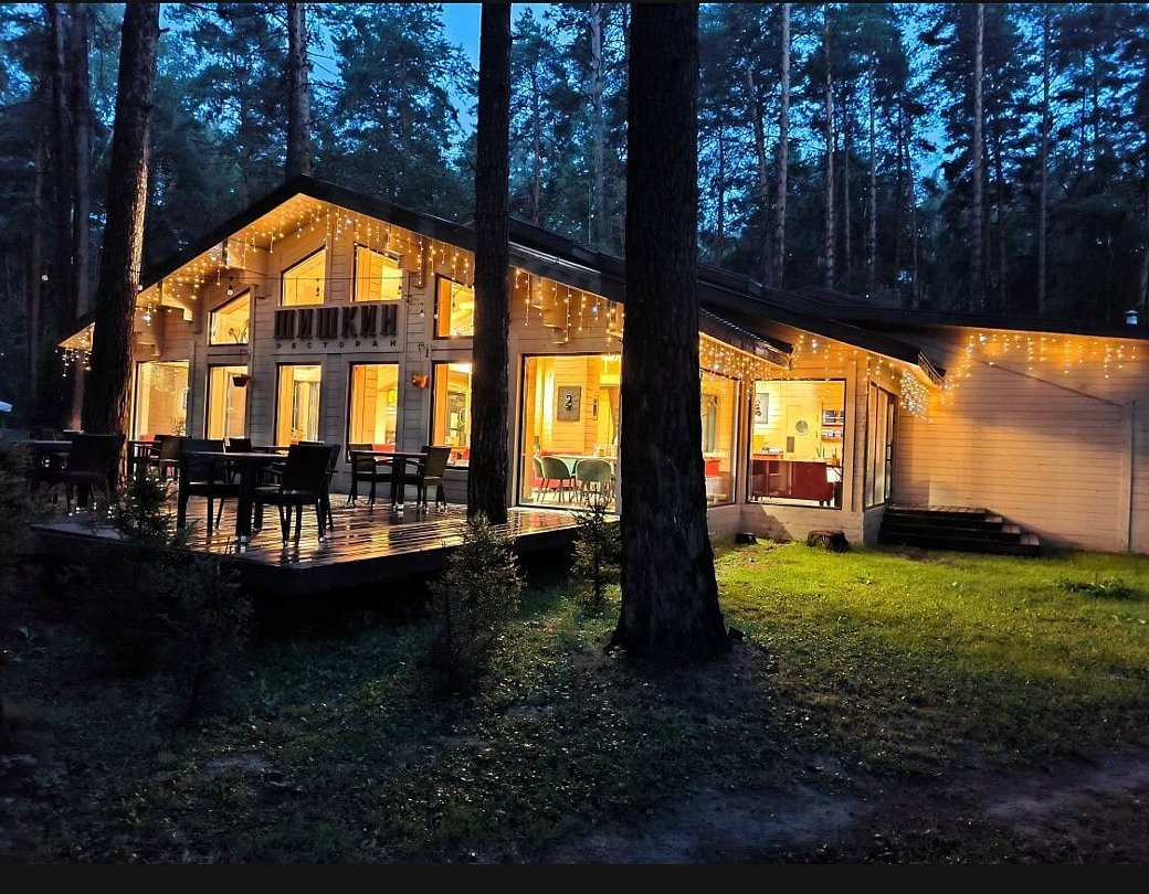 Чкаловские дачи, Новосибирская область: фото 4