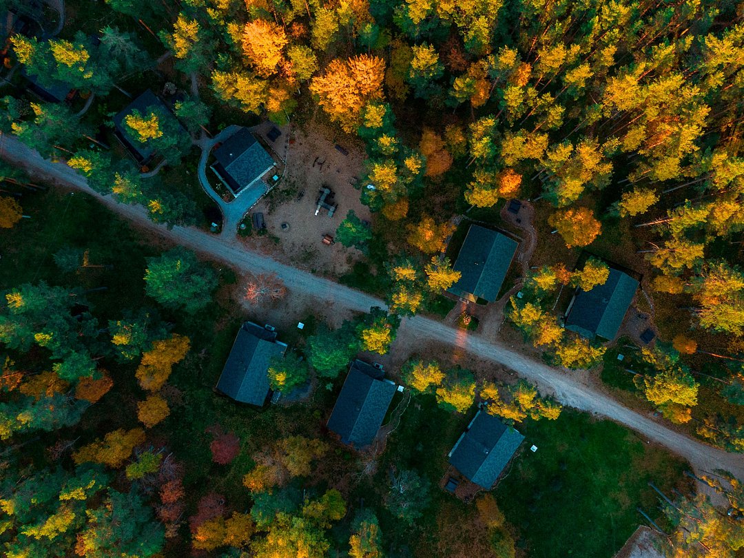 Громово парк, Ленинградская область: фото 3