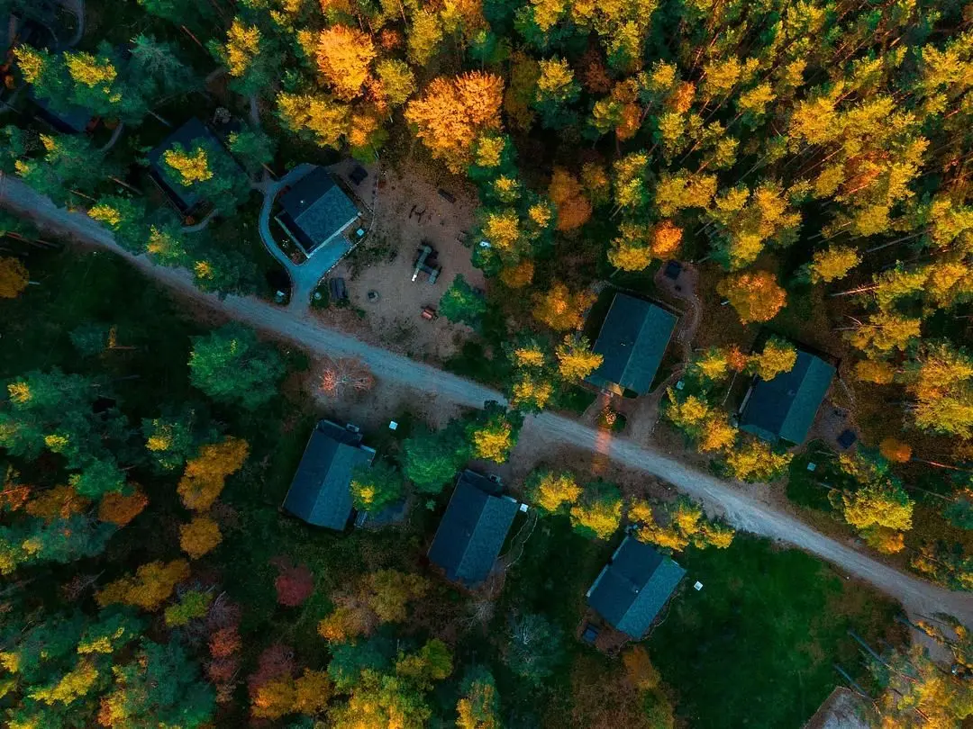 Громово парк, Ленинградская область: фото 3