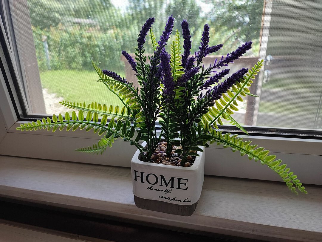 Тихий уголок, Ленинградская область: фото 5