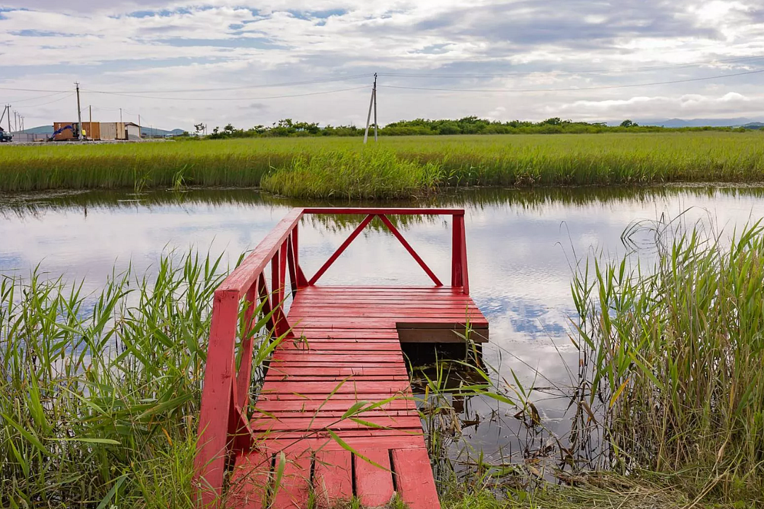 Луга и море, Приморский край: фото 4