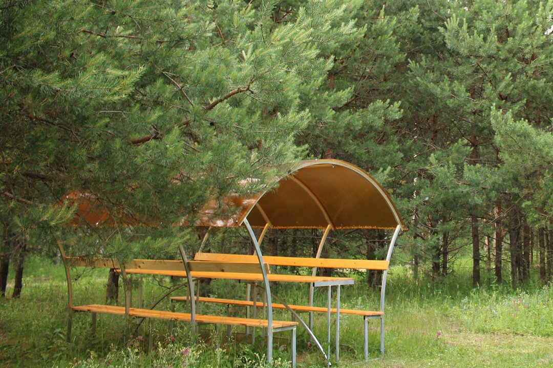 База отдыха Домики в лесу, Московская область: фото 2