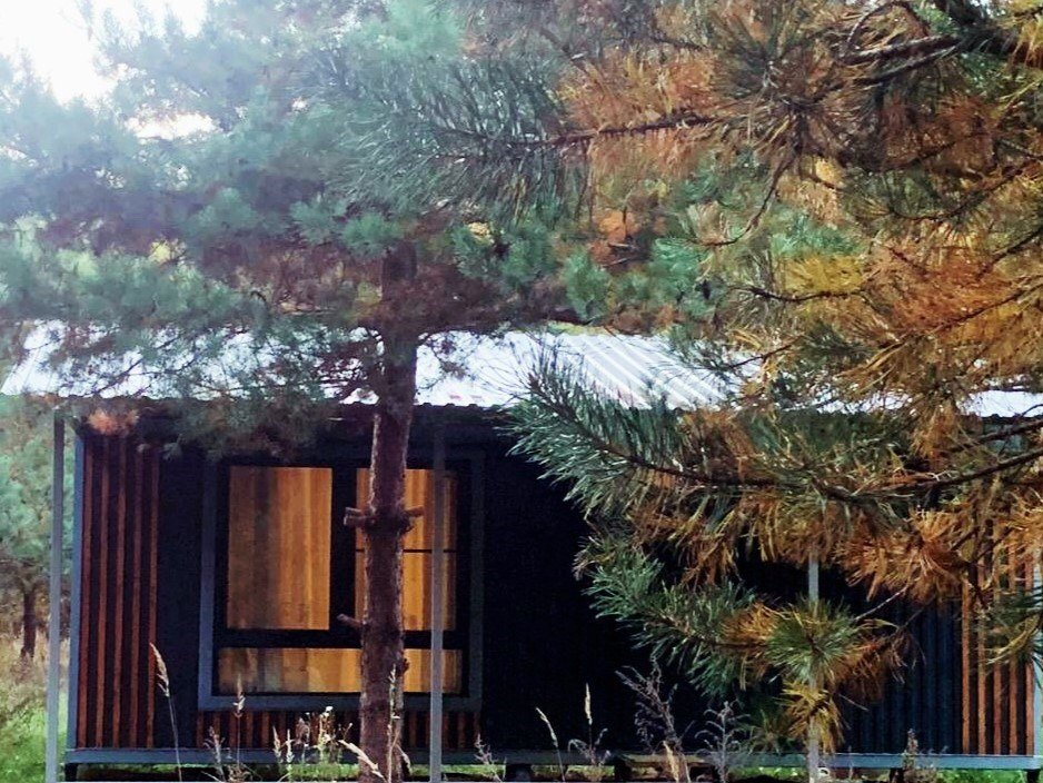 База отдыха Домики в лесу, Московская область: фото 5