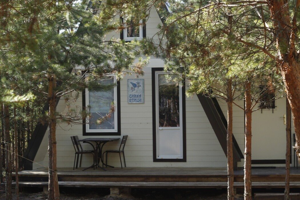 Усадьба Пчелинцево, Рязанская область: фото 5