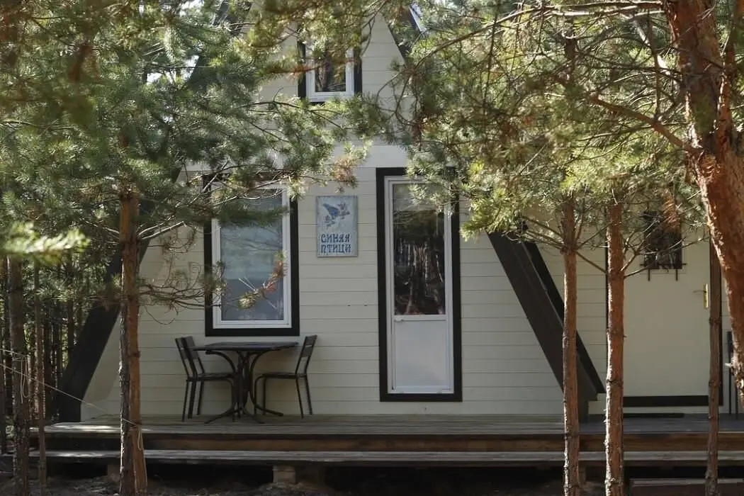 Усадьба Пчелинцево, Рязанская область: фото 5