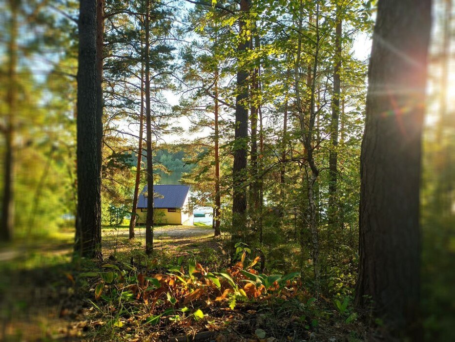 Усадьба Пчелинцево, Рязанская область: фото 3