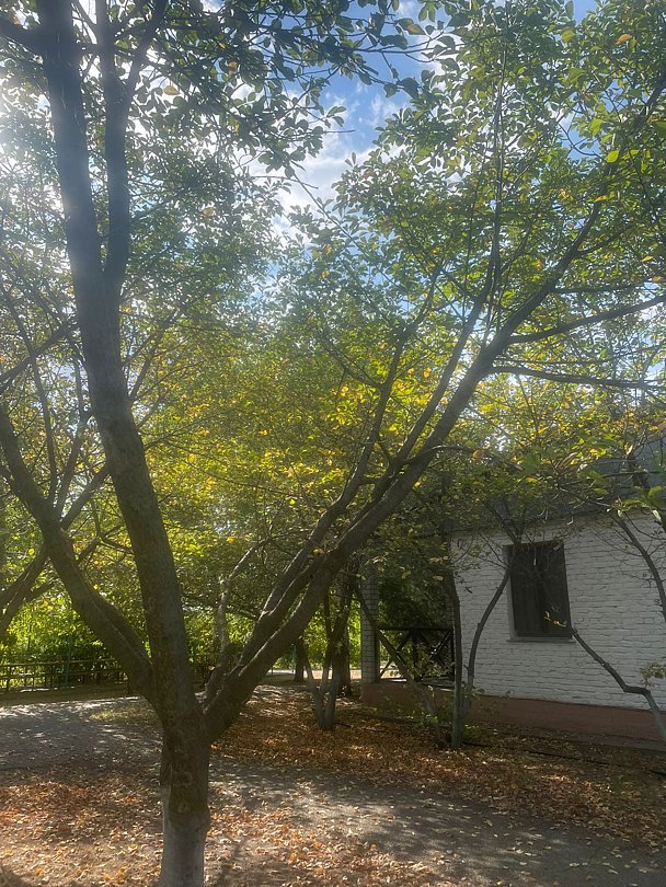 Волжанка, Астраханская область: фото 4