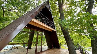 Гостевые дома Чаща 