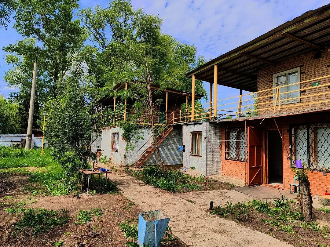 Тихие зори, Самарская область: фото 4