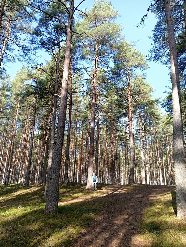 Фото 2 из отзыва о пансионате Восток-6