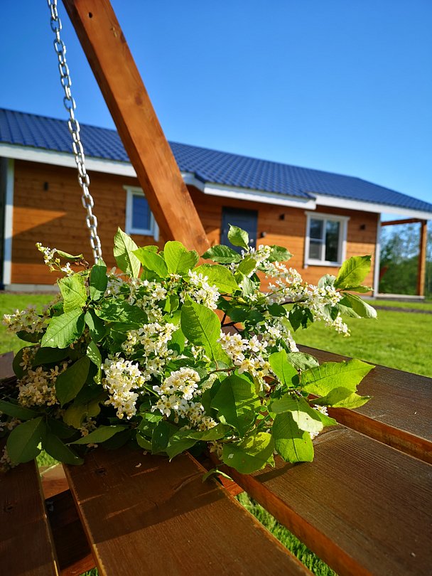 Лисий берег — отдых в Карелии, Республика Карелия: фото 3