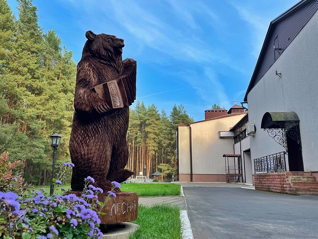 Лесная сказка, Ярославская область: фото 5
