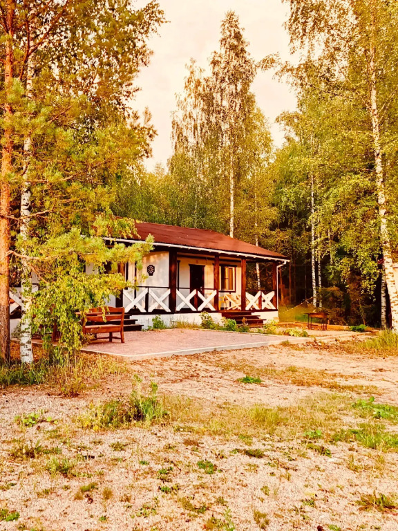 Акула-парк, Ярославская область: фото 2