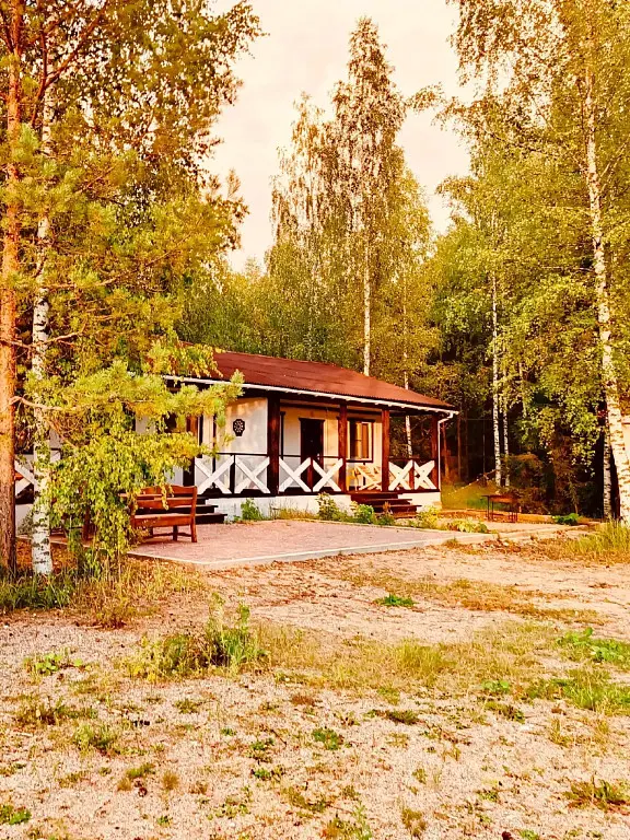 Акула-парк, Ярославская область: фото 2