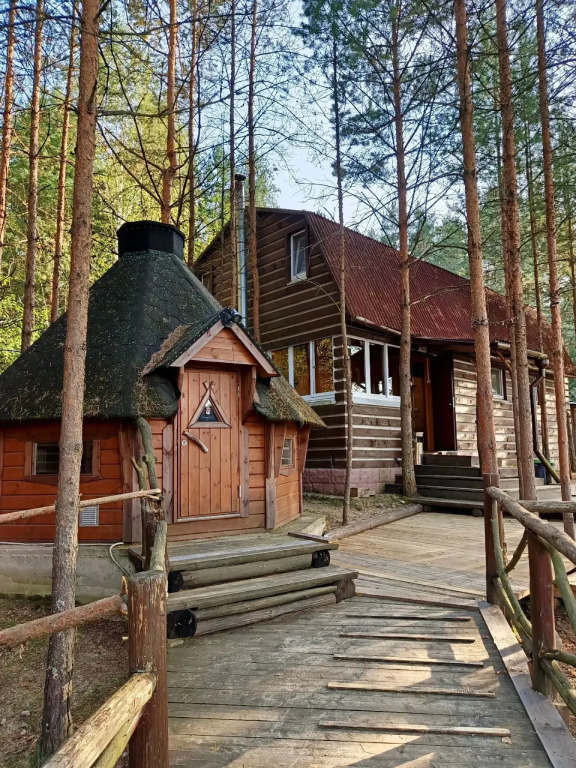 Акула-парк, Ярославская область: фото 3