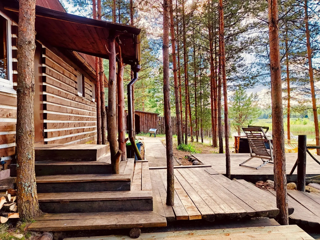 Акула-парк, Ярославская область: фото 4