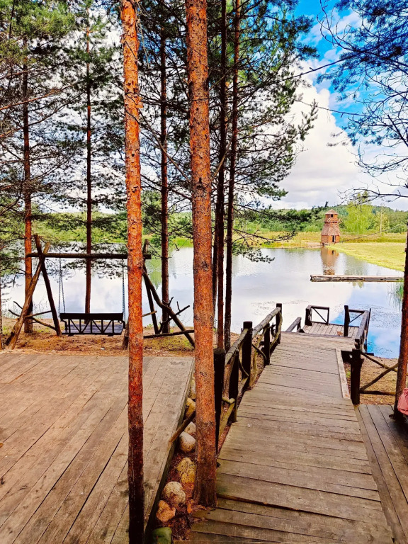 Акула-парк, Ярославская область: фото 5