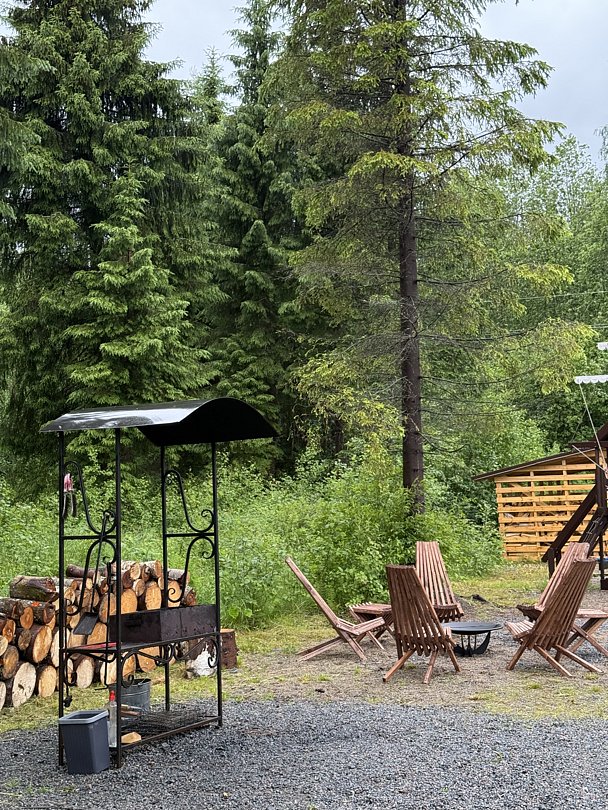 Scandi house, Республика Карелия: фото 4