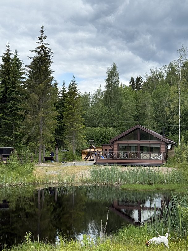 Scandi house, Республика Карелия: фото 3