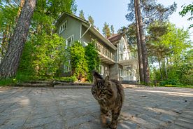 БК: Большой коттедж с сауной (7 спален), Загородный клуб Ромашка, Приозерский район