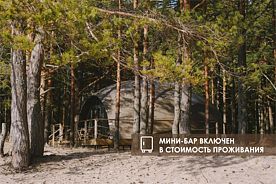 Геокупол Люкс с видом на лес, Глэмпинг Майтри кэмп на Финском заливе, Лужки