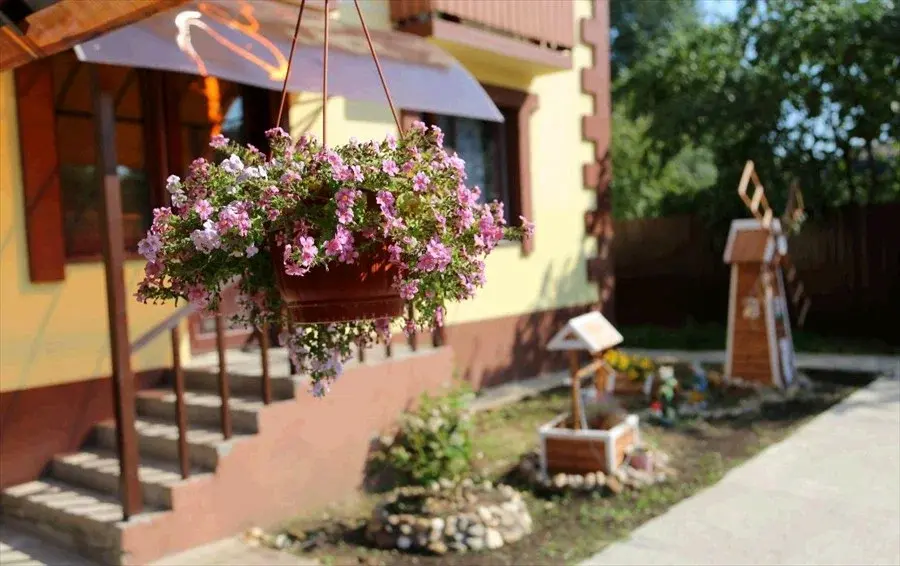 Теремок Заволжский, Тверская область: фото 3