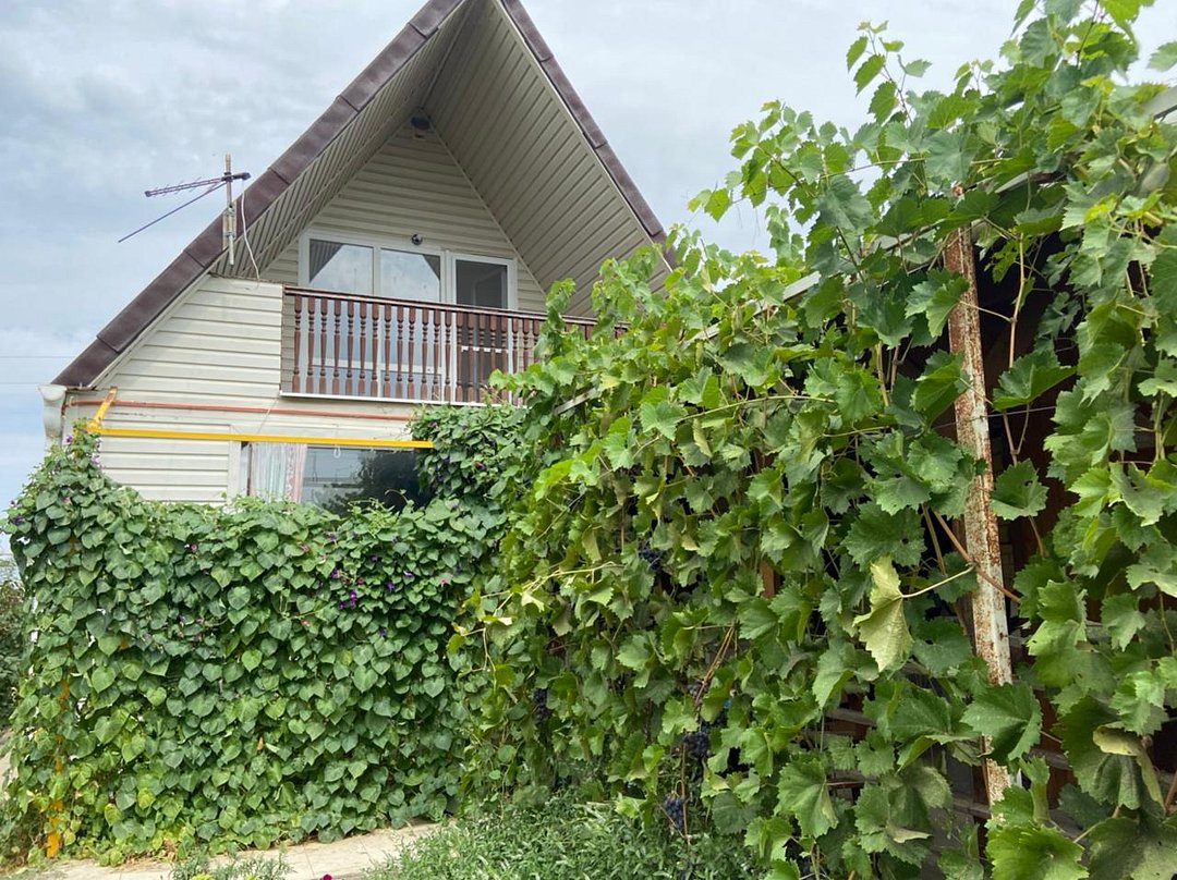 Гостевой дом Дом у реки, Астраханская область, Володарский район Астрахань село Забузан