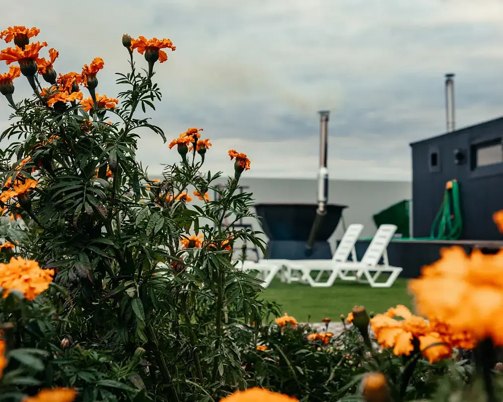 Bees-happy, Воронежская область: фото 5