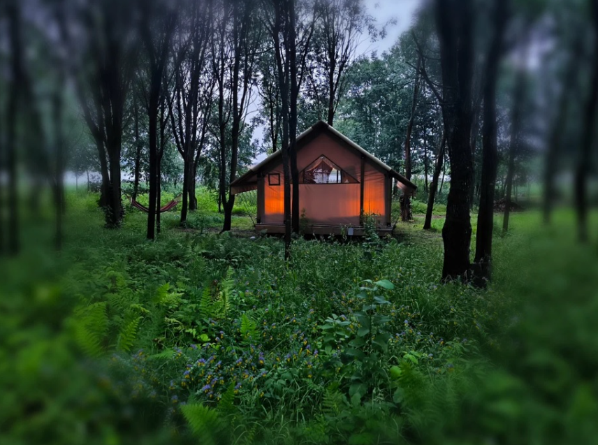 База отдыха Sысhёvka Глэмпинг Парк, Смоленская область, п. Никольское Сычевский район
