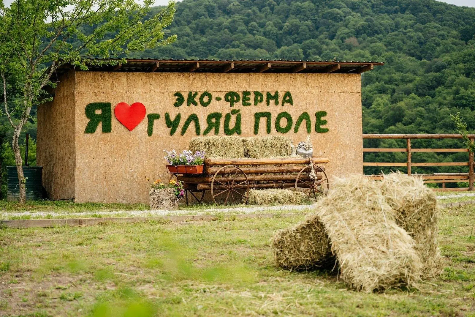 Эко-ферма Гуляй поле, Адлерский район, Краснодарский край