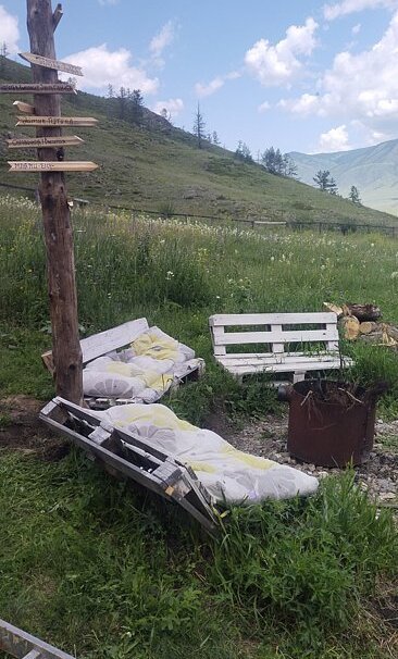 Сова, Горный Алтай (Республика Алтай): фото 3