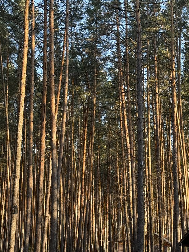 База отдыха Шелангуш