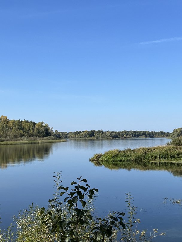 База отдыха Шелангуш