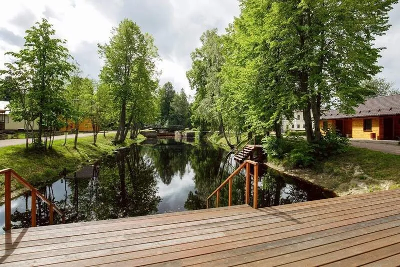 Белые озерки, Ленинградская область: фото 2