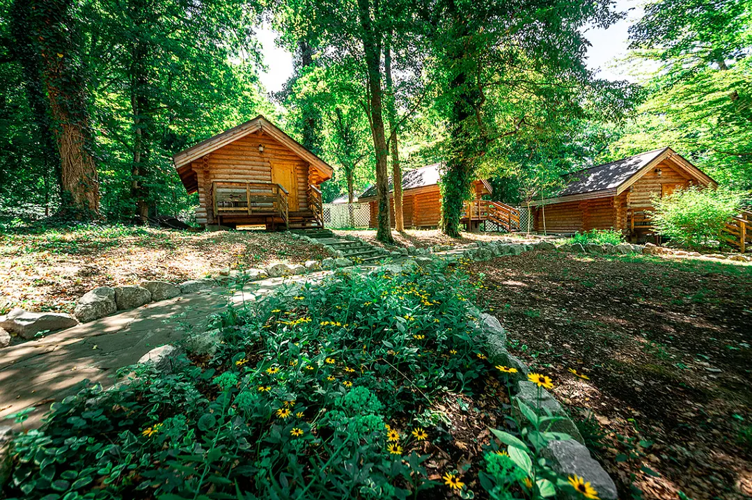 Раздолье, Краснодарский край: фото 5