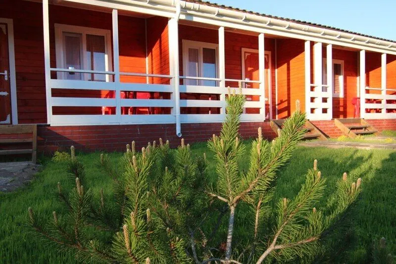 Креницы, Ленинградская область: фото 4