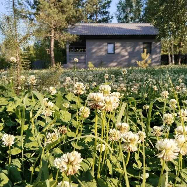 Загородный дом Сосны.Тут, Самарская область: фото 4