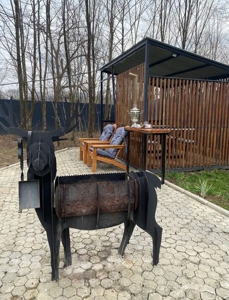 Домик в лесу с видом на горы, Республика Адыгея: фото 4
