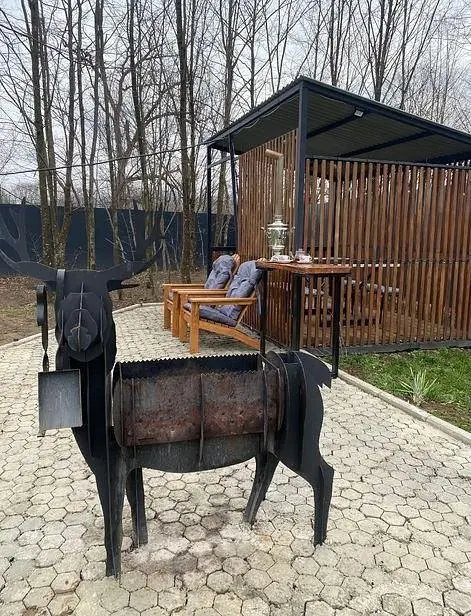 Домик в лесу с видом на горы, Республика Адыгея: фото 4