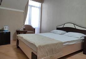 1-мест. стандарт, Пансионат Плаза Ессентуки, Ессентуки