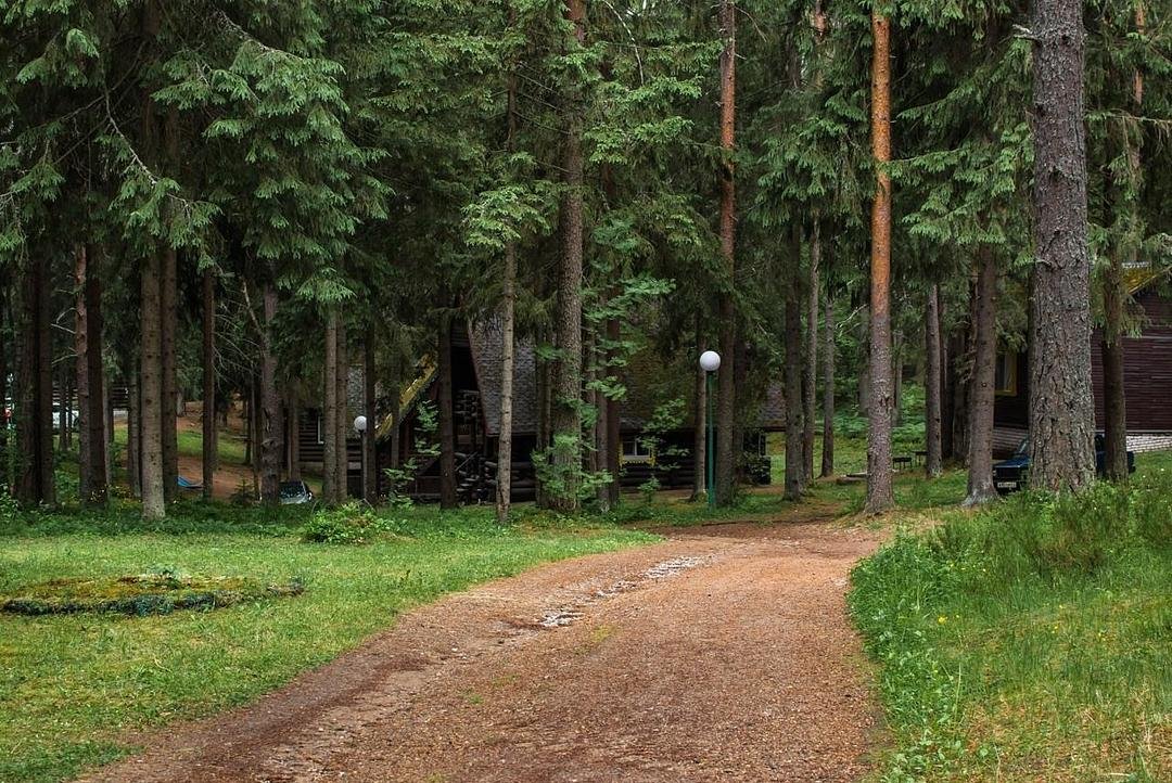 Берендеево царство, Новгородская область: фото 2