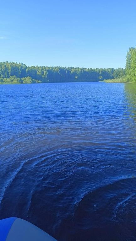 Фото из отзыва от 14.06.2026