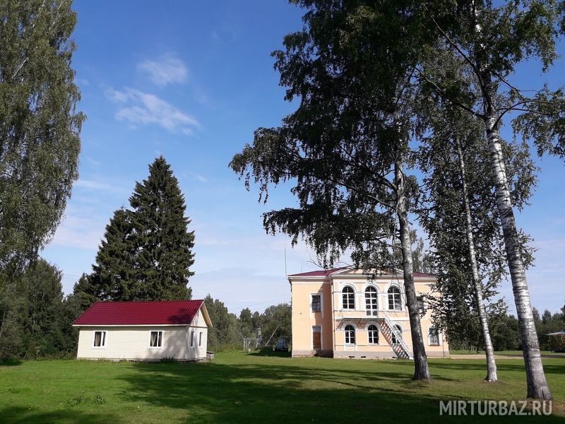 Косули в ленинградской области фото и описание